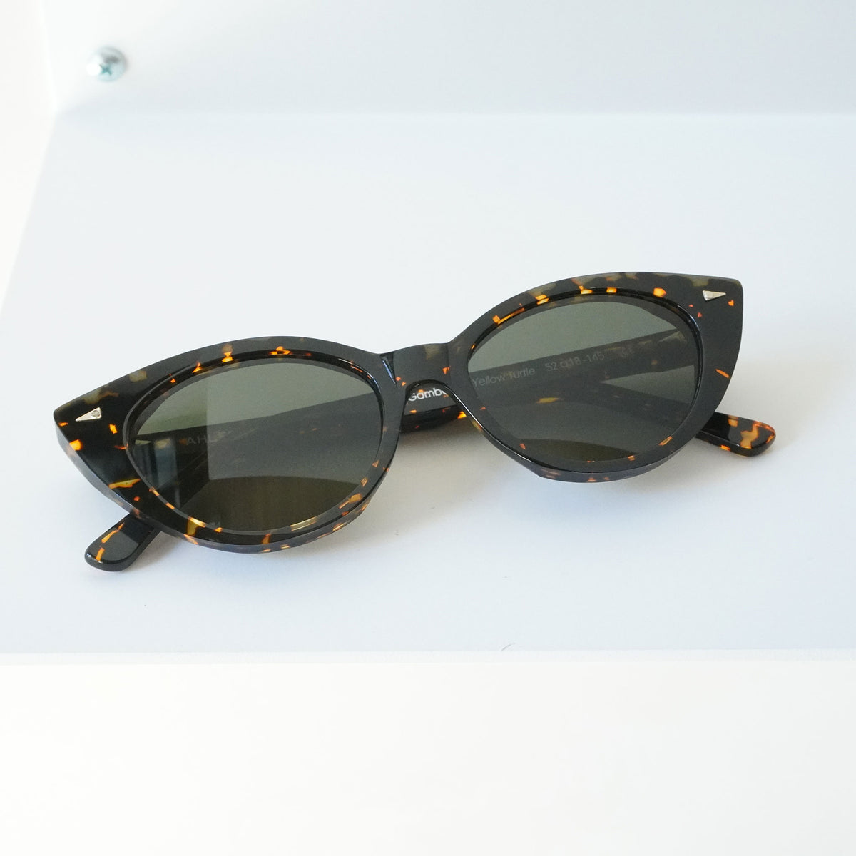 GAMBETTA (YELLOW TURTLE)
