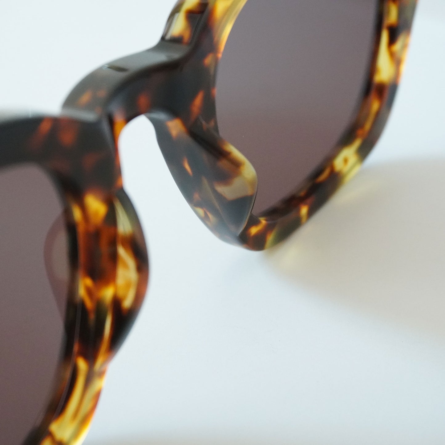 SYMPOSIUM (BROWN TORTOISE)